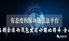 如何选择合适的钱包发送