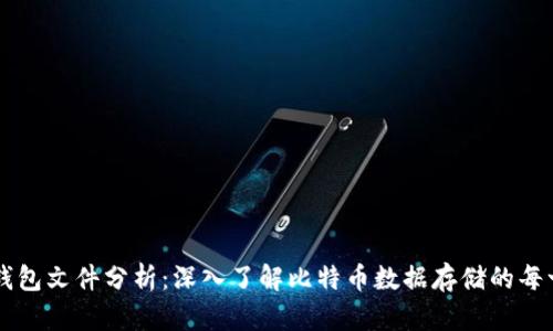 比特币钱包文件分析：深入了解比特币数据存储的每一个环节