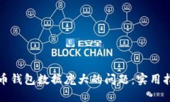 如何应对比特币钱包数据