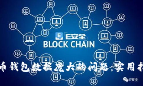 如何应对比特币钱包数据庞大的问题：实用指南与解决方案