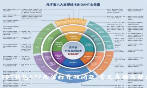 解决USDT钱包APP无法打开的问题：常见原因及解决方案