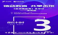 专家教你：NEAR钱包存U的独