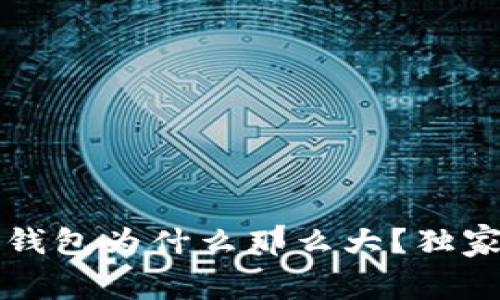 专家揭秘：比特币钱包为什么那么大？独家内幕与使用秘诀！